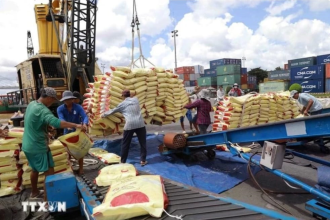 Vietnam’s rice exports increase over 23%